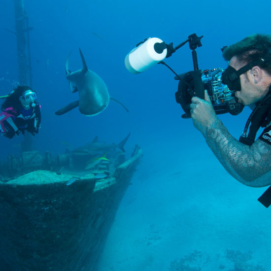 Bahamas dive with sharks