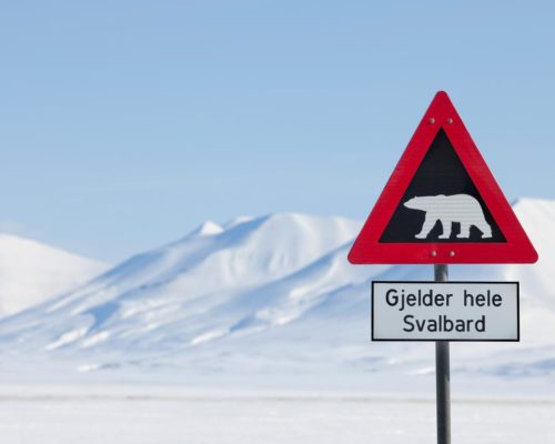 Accommodation –  spitsbergen