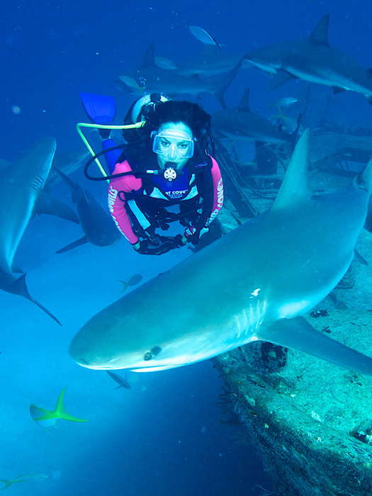 Bahamas dive with sharks