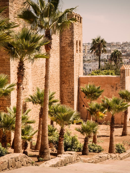 Morocco through the lens