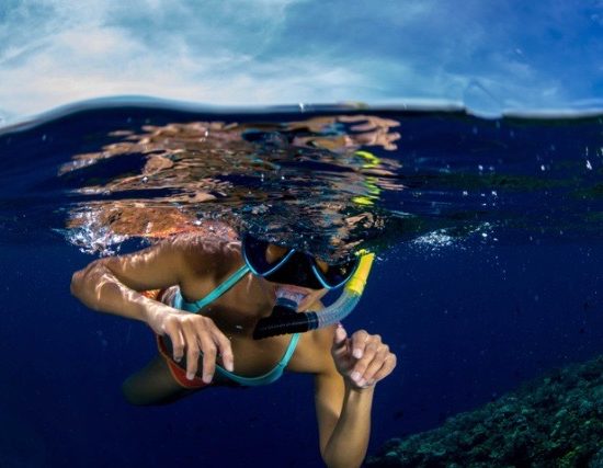 Underwater world of timor leste