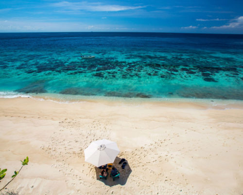 Underwater world of timor leste